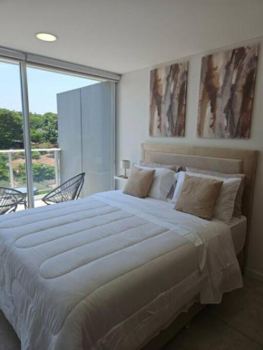 Hermoso Loft Asuncion